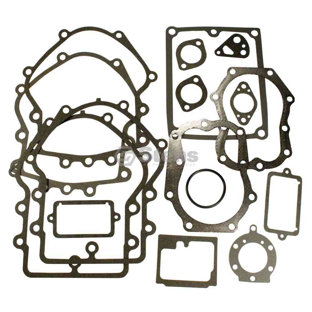 
                                        Gasket Set Briggs & Stratton 495868                  