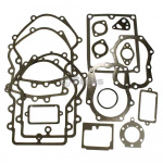 Briggs & Stratton 495868 Briggs & Stratton 495868