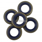 Oil Seal