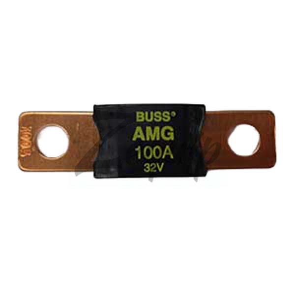 100 AMP FUSES 95836