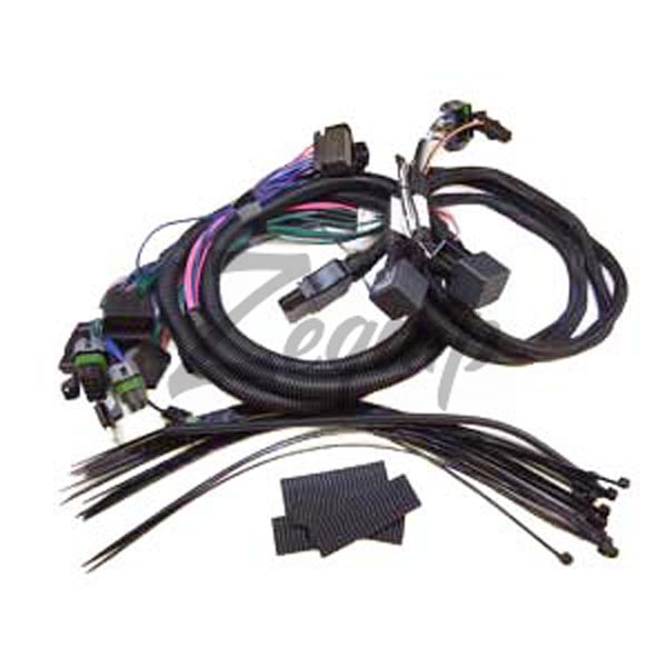 69818-2 HARNESS