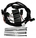 VEHICLE LIGHTING HARNESS 69793-1 VEHICLE LIGHTING HARNESS 69793-1