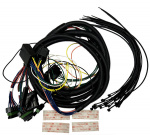 PLUG-IN HARNESS