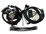 FISHER & WESTERN PLUG-HARNESS KIT 72359 FISHER & WESTERN PLUG-HARNESS KIT 72359