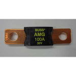 100 AMP FUSES 95836