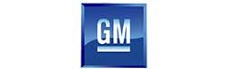 Window Visors GM