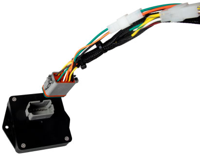 
                                                        RPM Control Module Harness                          