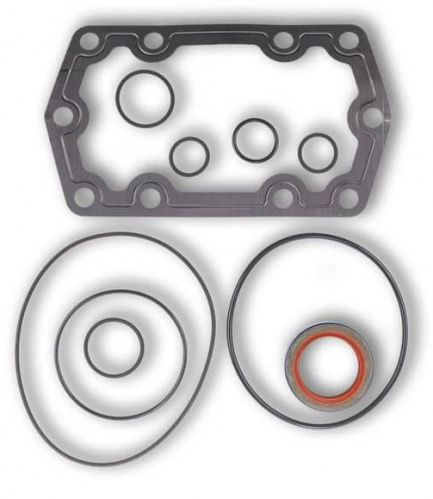 MUNCIE SEAL KIT CS24GSK
