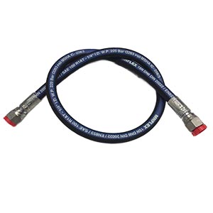 48519 Western Hose