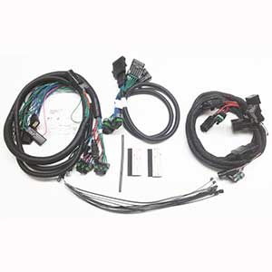 
                                        Harness Kit 69889-1                  